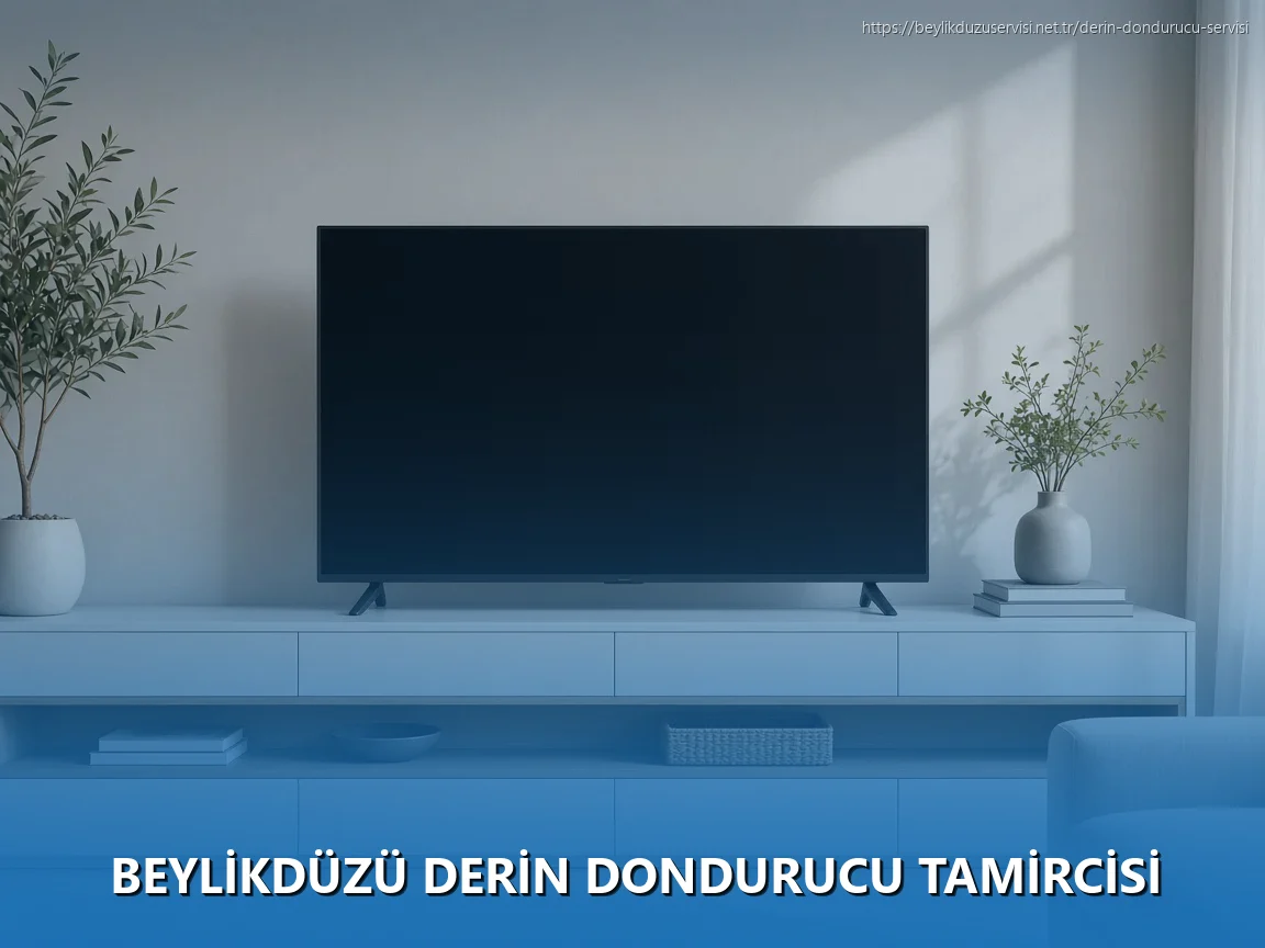 Beylikdüzü Derin Dondurucu Tamircisi
