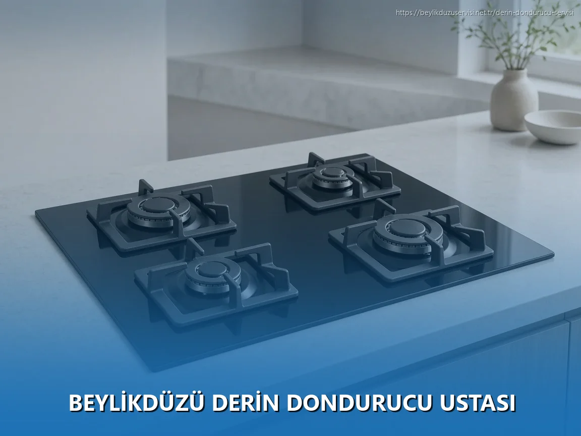 Beylikdüzü Derin Dondurucu Ustası