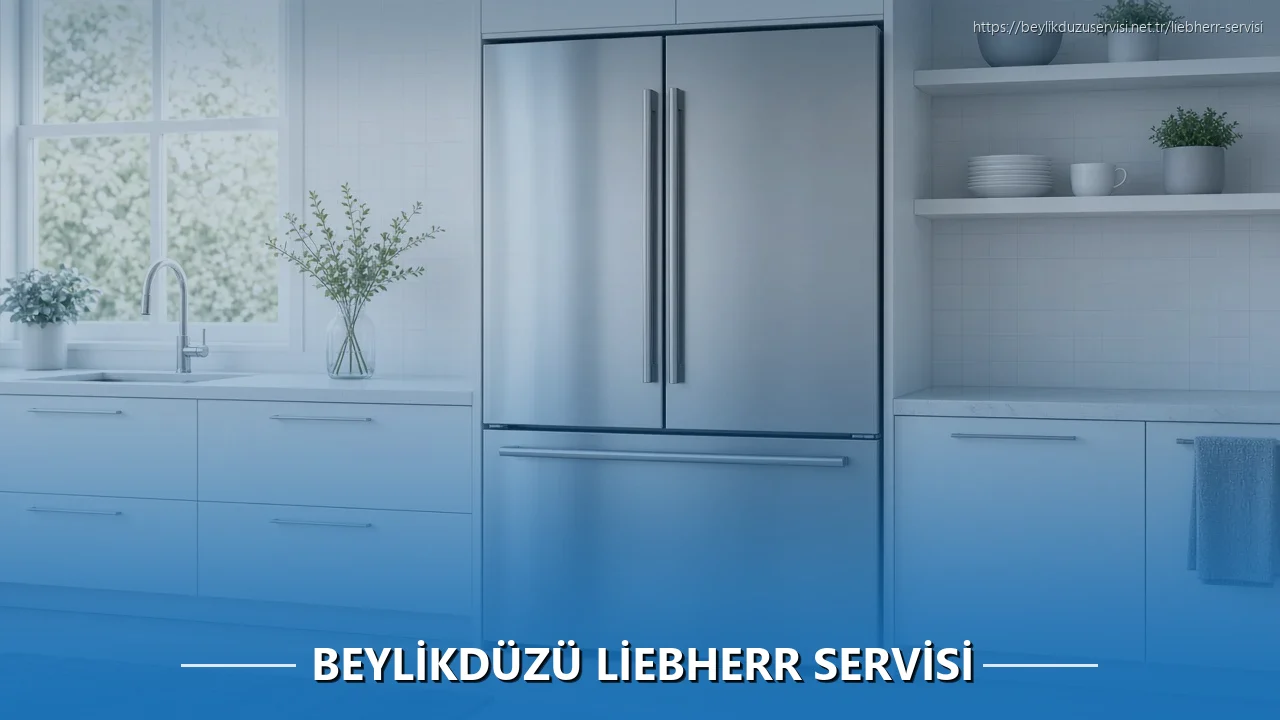 Beylikdüzü Liebherr Servisi